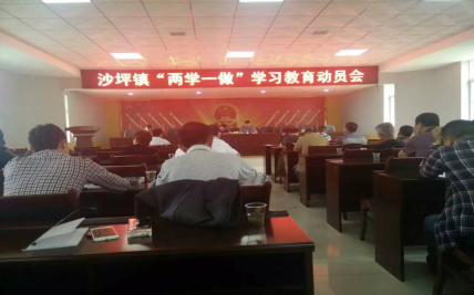 沙坪鎮(zhèn)兩學一做.png